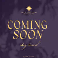 Luxury Stay Tuned Instagram Post Design