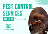 Pest Control Business Services Postcard