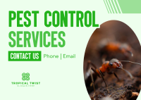 Pest Control Business Services Postcard Image Preview