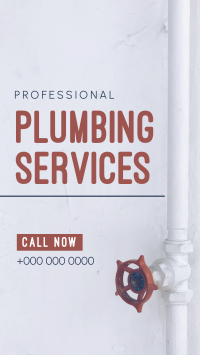 Professional Plumbing Instagram Story