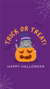 Halloween Cat Facebook Story