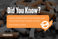 Smoking Facts Pinterest Cover Image Preview