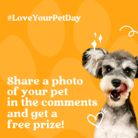 Cute Pet Lover Giveaway Instagram Post