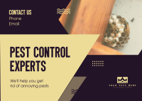 Pest Control Experts Postcard