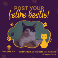 International Cat Day Instagram Post example 2
