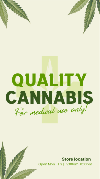 Quality Cannabis Plant Video