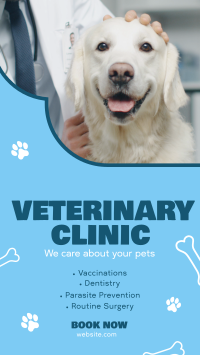 Professional Veterinarian Clinic Instagram Reel