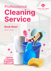 The Professional Cleaner Flyer