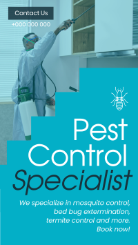 Minimal & Simple Pest Control Video