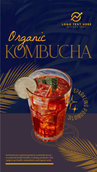 Organic Kombucha Facebook Story