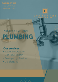 Professional Plumbing Poster