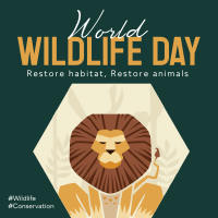 Restoring Habitat Program Instagram Post Image Preview