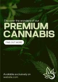 Premium Cannabis Poster