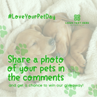 Love Your Pet Day Giveaway Linkedin Post Design