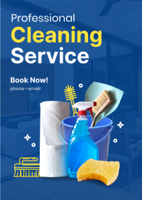 The Professional Cleaner Flyer