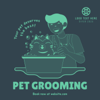 Grooming Cat Instagram Post