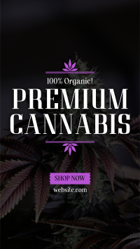 High Quality Cannabis TikTok Video
