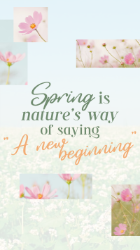 Spring Quote Facebook Story