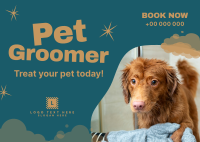 Professional Pet Groomer Postcard