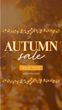 Special Autumn Sale  YouTube Short