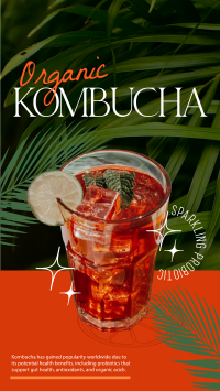 Organic Kombucha Facebook Story Design
