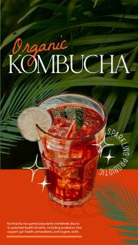 Organic Kombucha Facebook Story