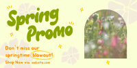 Spring Promo Twitter Post