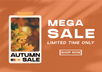 Picture Autumn Sale Postcard