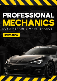 Auto Professionals Flyer