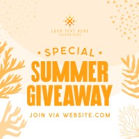 Corals Summer Giveaway Instagram Post