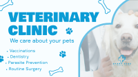 Professional Veterinarian Clinic YouTube Video Image Preview