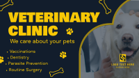 Professional Veterinarian Clinic Video