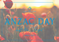 Poppy Flower Anzac Day Postcard