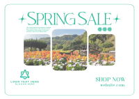 Spring Time Sale Postcard