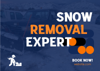 Snow Removal Expert Postcard