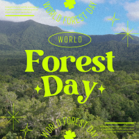 World Forest Day  Instagram Post