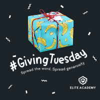 Quirky Giving Tuesday Instagram Post