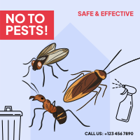 House Pest Control Instagram Post