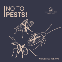 House Pest Control Instagram Post