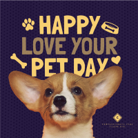 Wonderful Love Your Pet Day Greeting Instagram Post Image Preview