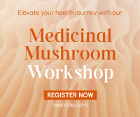 Minimal Medicinal Mushroom Workshop Facebook Post