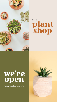 Plant Shop Opening Instagram Story