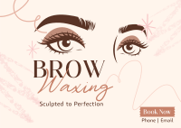 Eyebrow Waxing Service Postcard