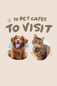 Pet Shop Pinterest Pin example 2