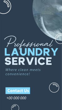 Professional Laundry Service Instagram Reel