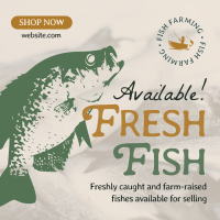 Fresh Fishes Available Instagram Post Image Preview