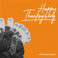 Orange Thanksgiving Turkey Instagram Post