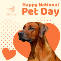 National Pet Day Instagram Post Image Preview