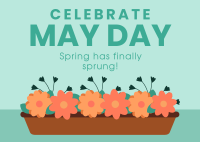 Celebrate May Day Postcard