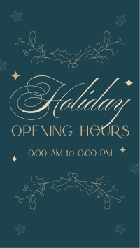 Elegant Holiday Opening Facebook Story